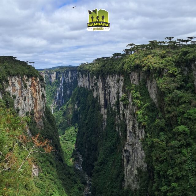 Descubra a grandiosidade dos Aparados da Serra! Cada trilha, cada vista é uma conexão única com a natureza. 🌿 

 Pronto para viver essa experiência inesquecível? Fale com a Cambará Adventure e agende o seu passeio!

#ecoturismo #turismodeaventura #contemplacao #terradoscanions #cambaradosul #aparadosdaserra #serragaucha #trip #turismo #cambaraadventure